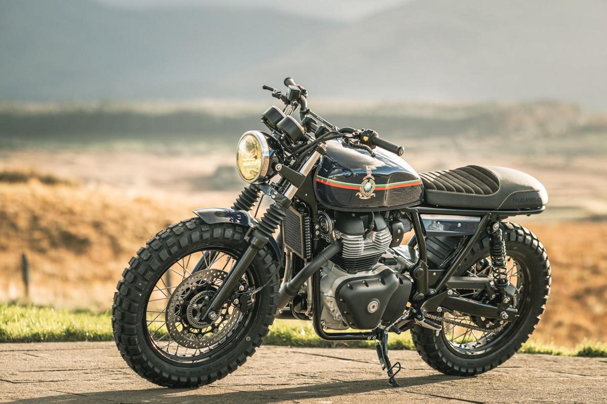 Royal Enfield And The Bear Webbikeworld