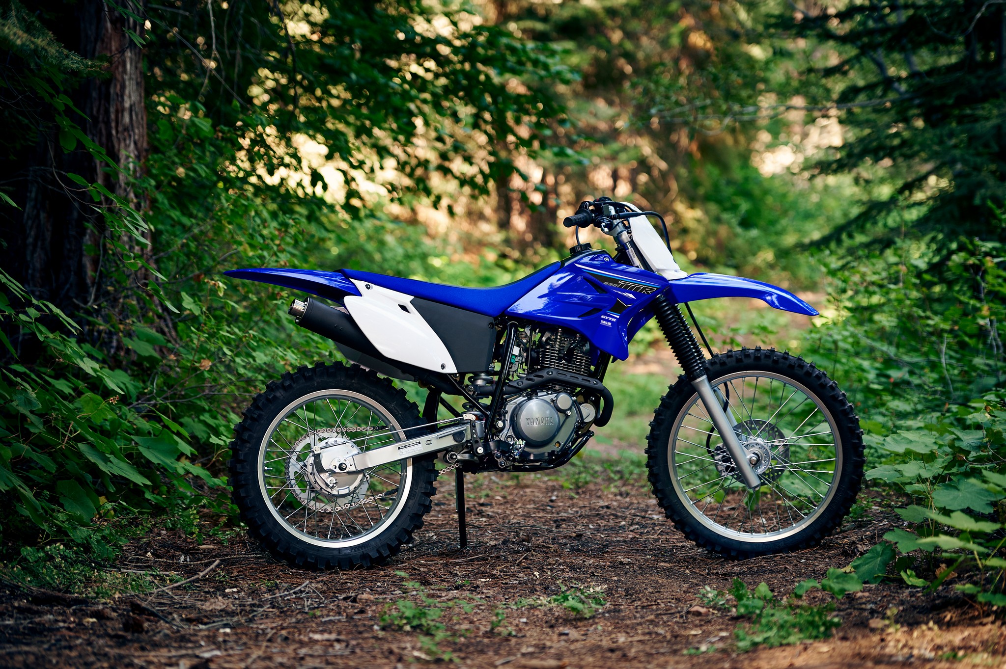 Yamaha TTR230