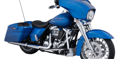 HD 100th Anniversary Street Glide signed by Willie G