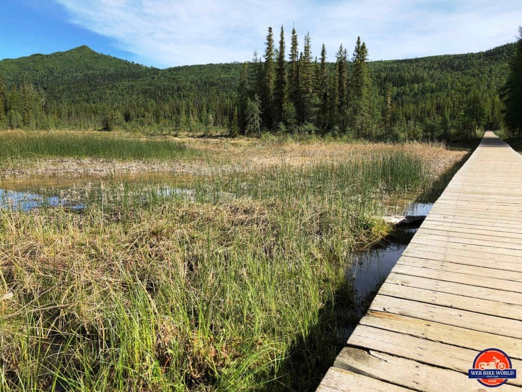 The sulphur swamp surrounding the Liard Hot Springs.