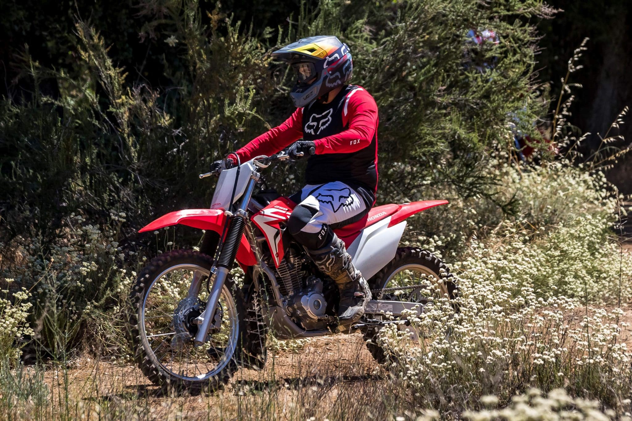 2021 Honda CRF250F [Specs, Features, Photos] | WBW