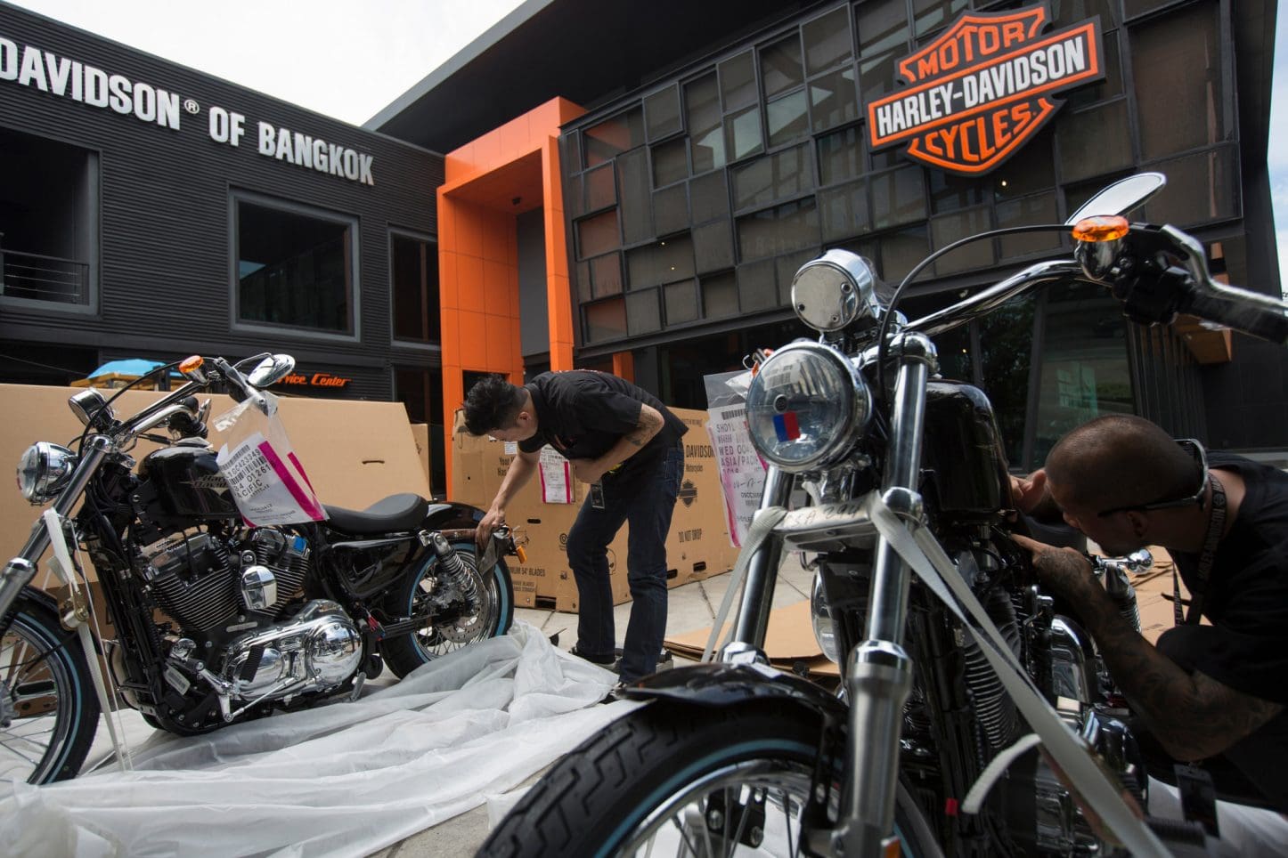 2019 harley davidson dealer cost