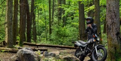 A Yamaha bike and rider in the forest. Media sourced from Top Speed.