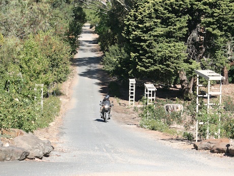 Riding in the Barossa Valley