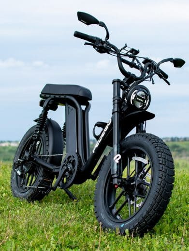 2024 pedego moto