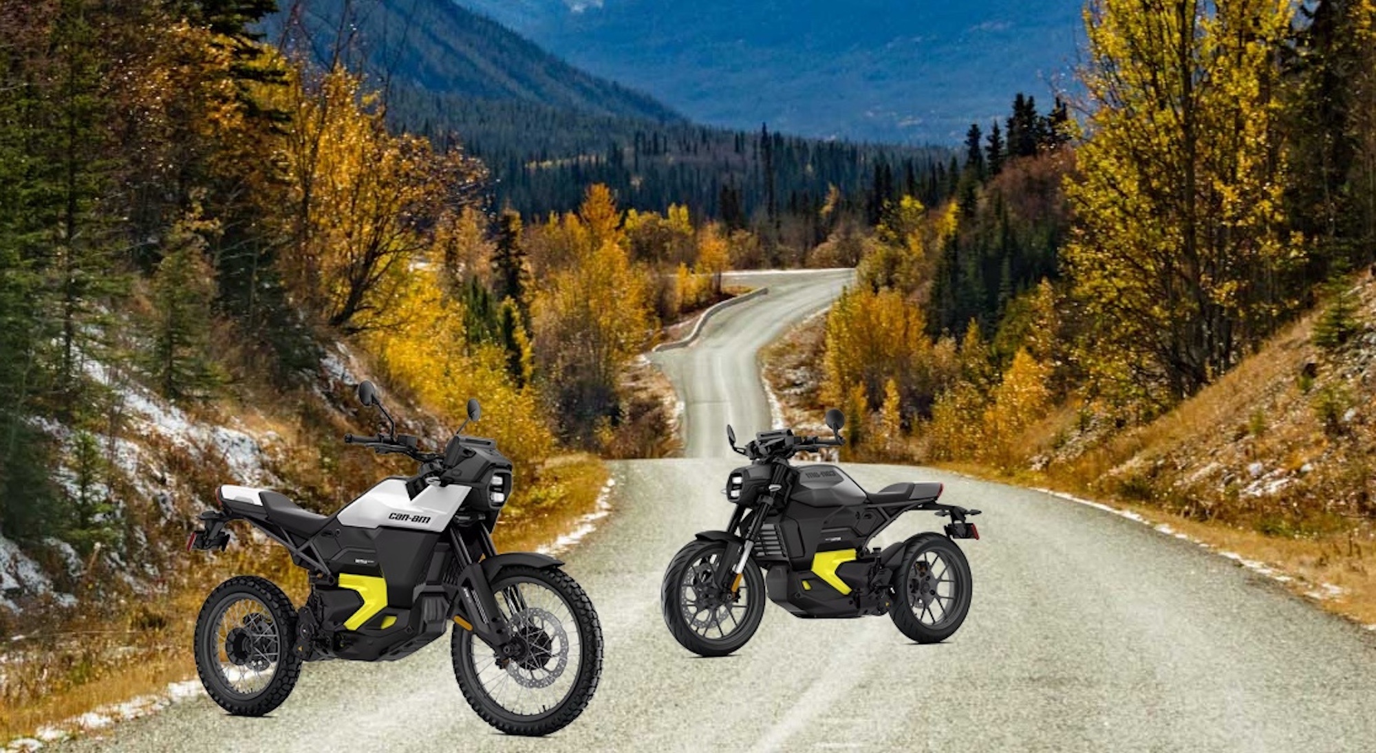 Two electric motorcycles in the wild. 